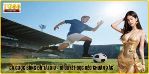 Cá Cược Bóng Đá Tài Xỉu - Bí Quyết Đọc Kèo Chuẩn Xác
