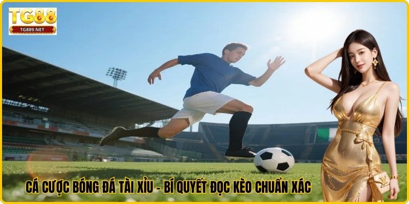 Cá Cược Bóng Đá Tài Xỉu - Bí Quyết Đọc Kèo Chuẩn Xác