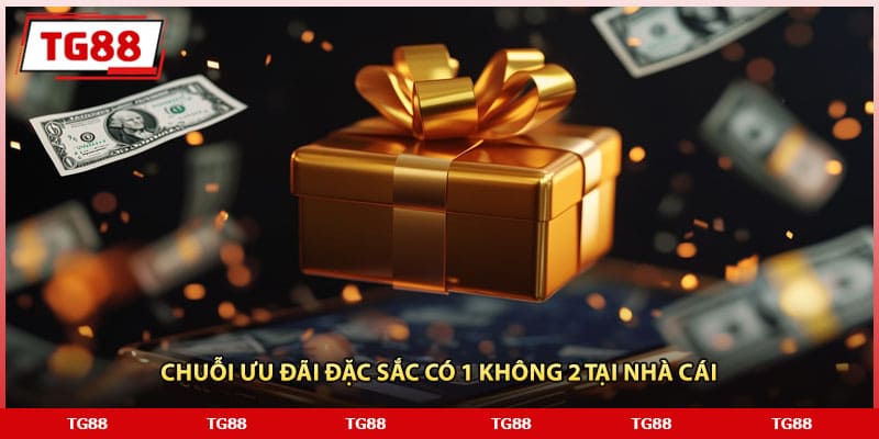 Chuỗi ưu đãi đặc sắc có 1 không 2 tại nhà cái