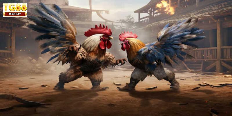 Đặc điểm nhận dạng gà mắt chuột chuẩn xác nhất